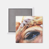 HORSES MAGNEET (Voorkant / Achterkant)