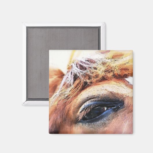 HORSES MAGNEET (Voorkant / Achterkant)