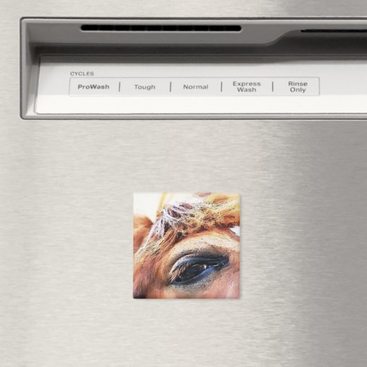 HORSES MAGNEET (Insitu (Vaatwasser))