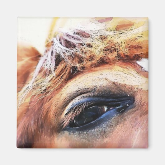 HORSES MAGNEET (Voorkant)