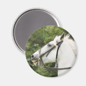 HORSES MAGNEET (Voorkant / Achterkant)