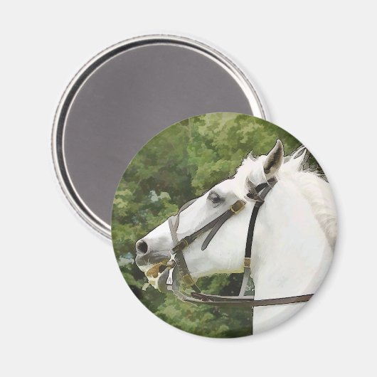 HORSES MAGNEET (Voorkant / Achterkant)