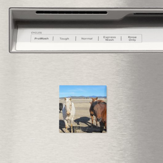 Horses Magneet (Insitu (Vaatwasser))