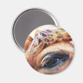 HORSES MAGNEET (Voorkant / Achterkant)