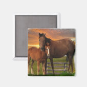Horses Magneet (Voorkant / Achterkant)
