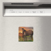 Horses Magneet (Insitu (Vaatwasser))
