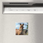 Horses magnet (Insitu (Vaatwasser))