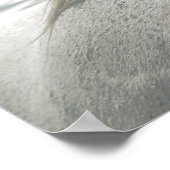 HORSES Mane Flea-Bitten Grey Mare Archival Poster (Hoek)