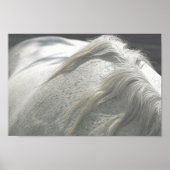 HORSES Mane Flea-Bitten Grey Mare Archival Poster (Voorkant)
