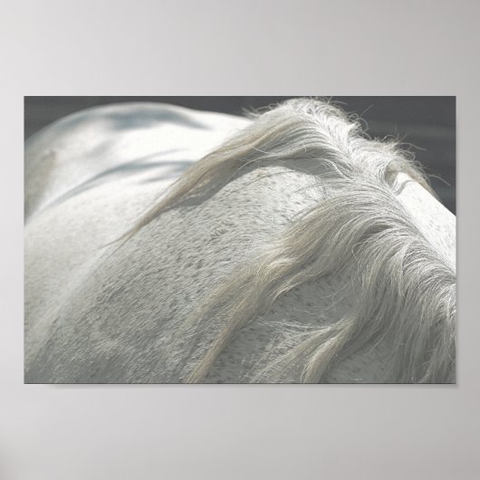 HORSES Mane Flea-Bitten Grey Mare Archival Poster (Voorkant)