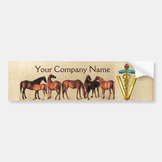 HORSES/MARES EN FOALS CADUCEUS VETERINAIR SYMBOOL BUMPERSTICKER (Voorkant)