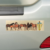 HORSES/MARES EN FOALS CADUCEUS VETERINAIR SYMBOOL BUMPERSTICKER (Op auto)