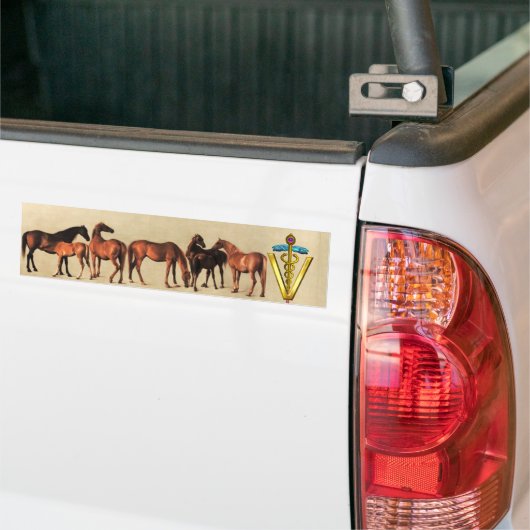 HORSES/MARES EN FOALS CADUCEUS VETERINAIR SYMBOOL BUMPERSTICKER (Op Truck)