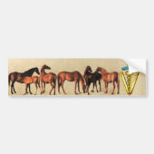 HORSES/MARES EN FOALS CADUCEUS VETERINAIR SYMBOOL BUMPERSTICKER (Voorkant)