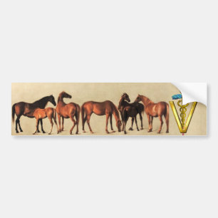 HORSES/MARES EN FOALS CADUCEUS VETERINAIR SYMBOOL BUMPERSTICKER