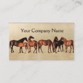 HORSES/MARES EN FOALS CADUCEUS VETERINAIR SYMBOOL VISITEKAARTJE (Achterkant)