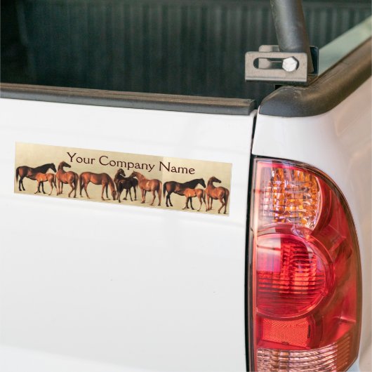 HORSES/MARES EN FOALS PARTIJ BUMPERSTICKER (Op Truck)