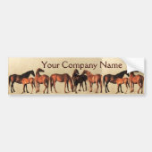 HORSES/MARES EN FOALS PARTIJ BUMPERSTICKER (Voorkant)