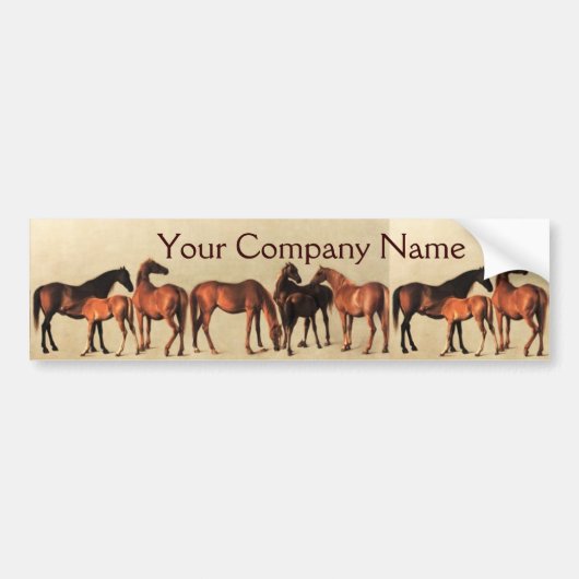 HORSES/MARES EN FOALS PARTIJ BUMPERSTICKER (Voorkant)