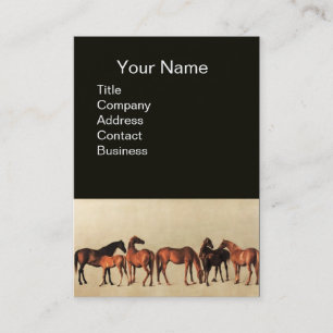 HORSES/MARS EN FOALS Black Visitekaartje