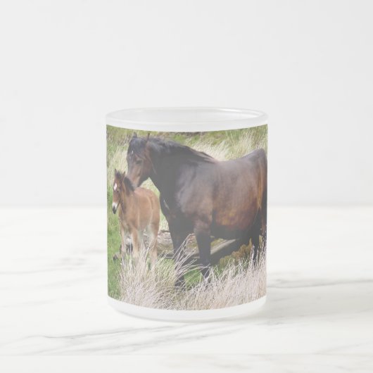 HORSES MATGLAS KOFFIEMOK (Center)