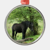 HORSES METALEN ORNAMENT (Voorkant)