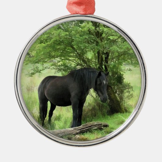 HORSES METALEN ORNAMENT (Voorkant)