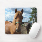 Horses mousepad muismat (Met muis)