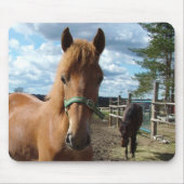 Horses mousepad muismat (Voorkant)