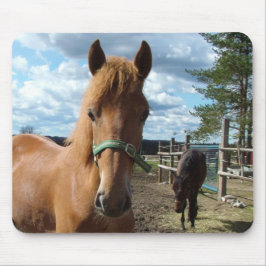 Horses mousepad muismat