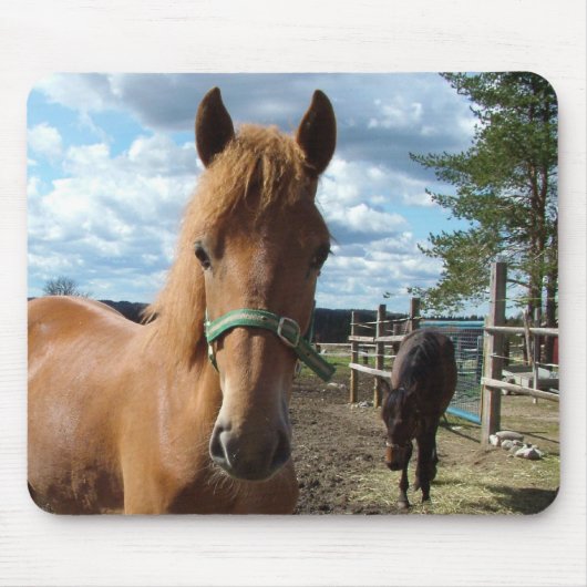 Horses mousepad muismat (Voorkant)