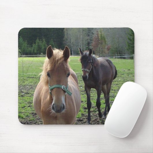 Horses mousepad muismat (Met muis)