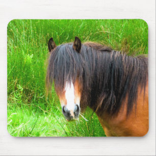 HORSES MUISMAT