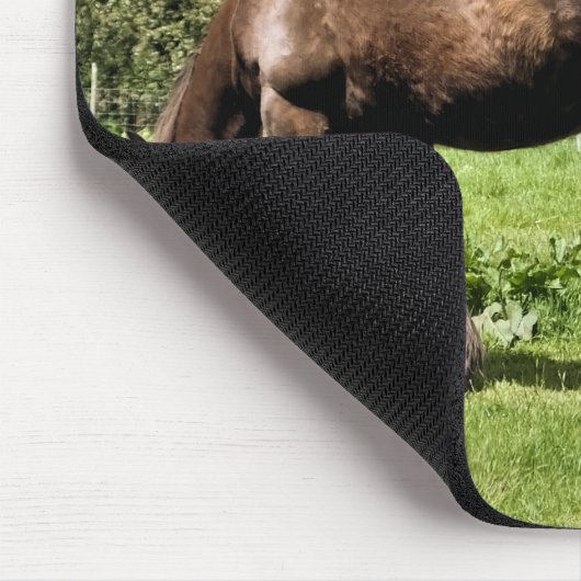 HORSES MUISMAT (Hoek)