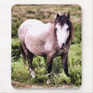 HORSES MUISMAT