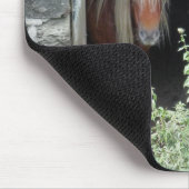 HORSES MUISMAT (Hoek)