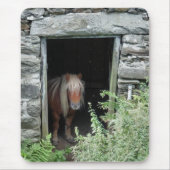 HORSES MUISMAT (Voorkant)