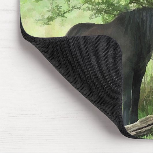 HORSES MUISMAT (Hoek)