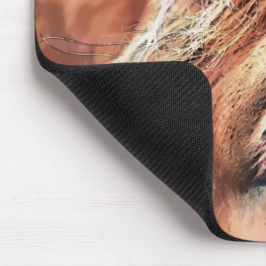 HORSES MUISMAT (Hoek)