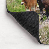 HORSES MUISMAT (Hoek)