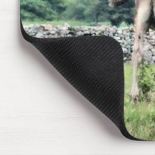 HORSES MUISMAT (Hoek)