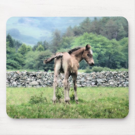 HORSES MUISMAT (Voorkant)