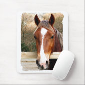 HORSES MUISMAT (Met muis)