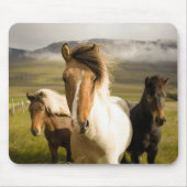 Horses Muismat (Voorkant)