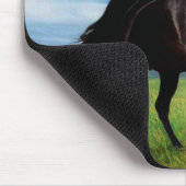 Horses Muismat (Hoek)