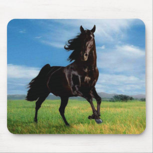 Horses Muismat