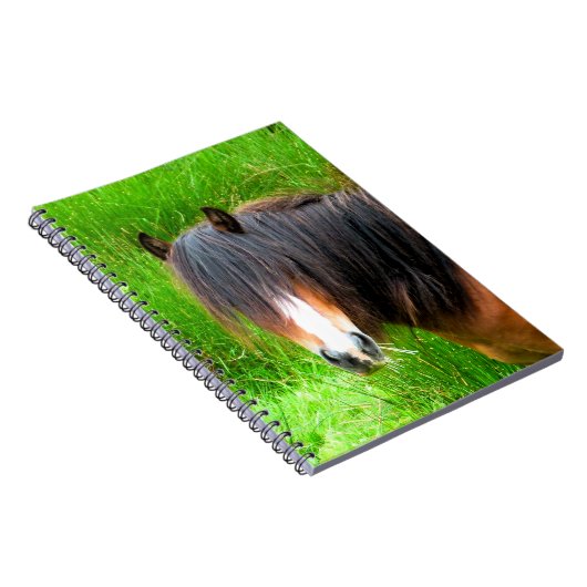 HORSES NOTITIEBOEK (Rechterzijde)