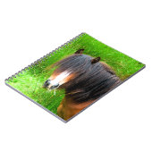 HORSES NOTITIEBOEK (Linkerzijde)