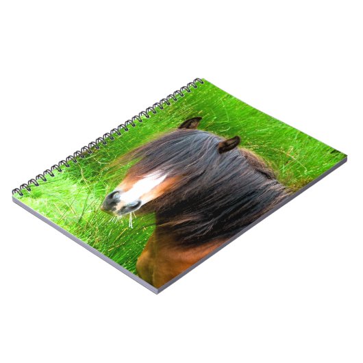 HORSES NOTITIEBOEK (Linkerzijde)