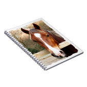 HORSES NOTITIEBOEK (Rechterzijde)